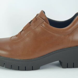 zapato-eslasticos-delanteros