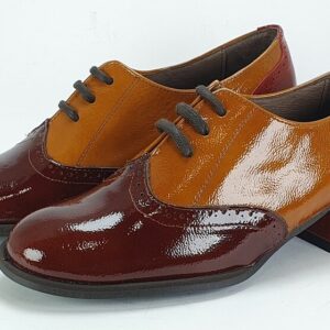 zapato_tricolor_cordon