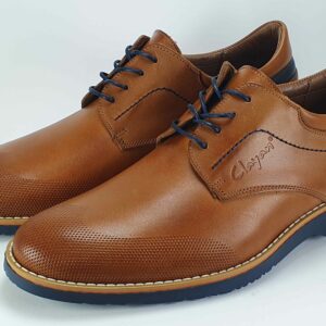 zapato_picado_cordón